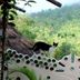 屋外の景色