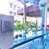 屋外の景色