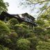 屋外の景色