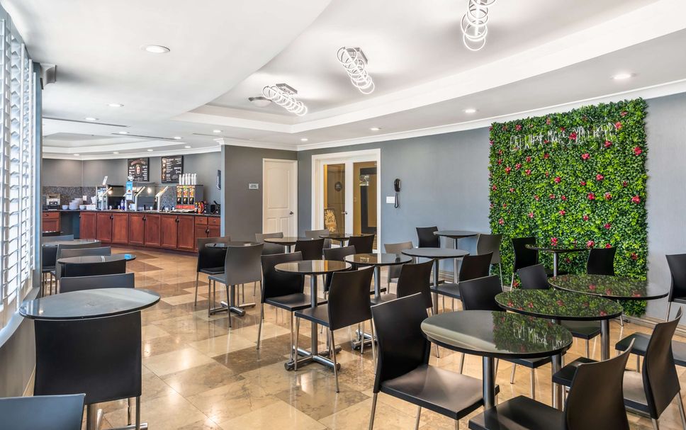 レストラン 写真