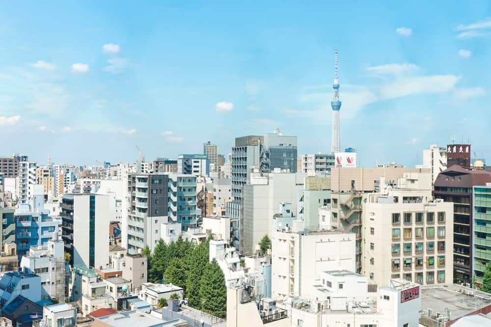 屋外の景色