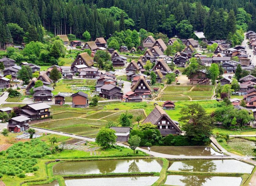屋外の景色 写真