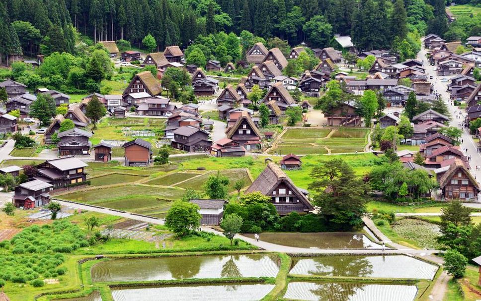 屋外の景色 写真