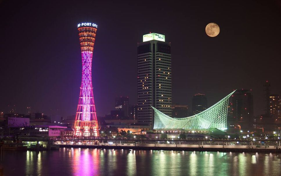 屋外の景色 写真