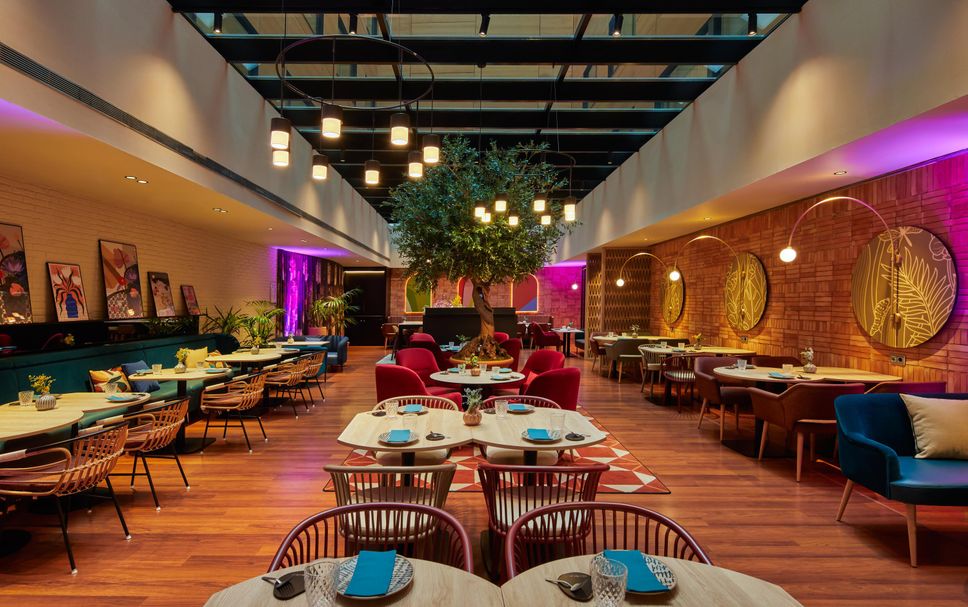 レストラン 写真