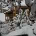 屋外の景色