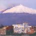 屋外の景色