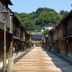 屋外の景色