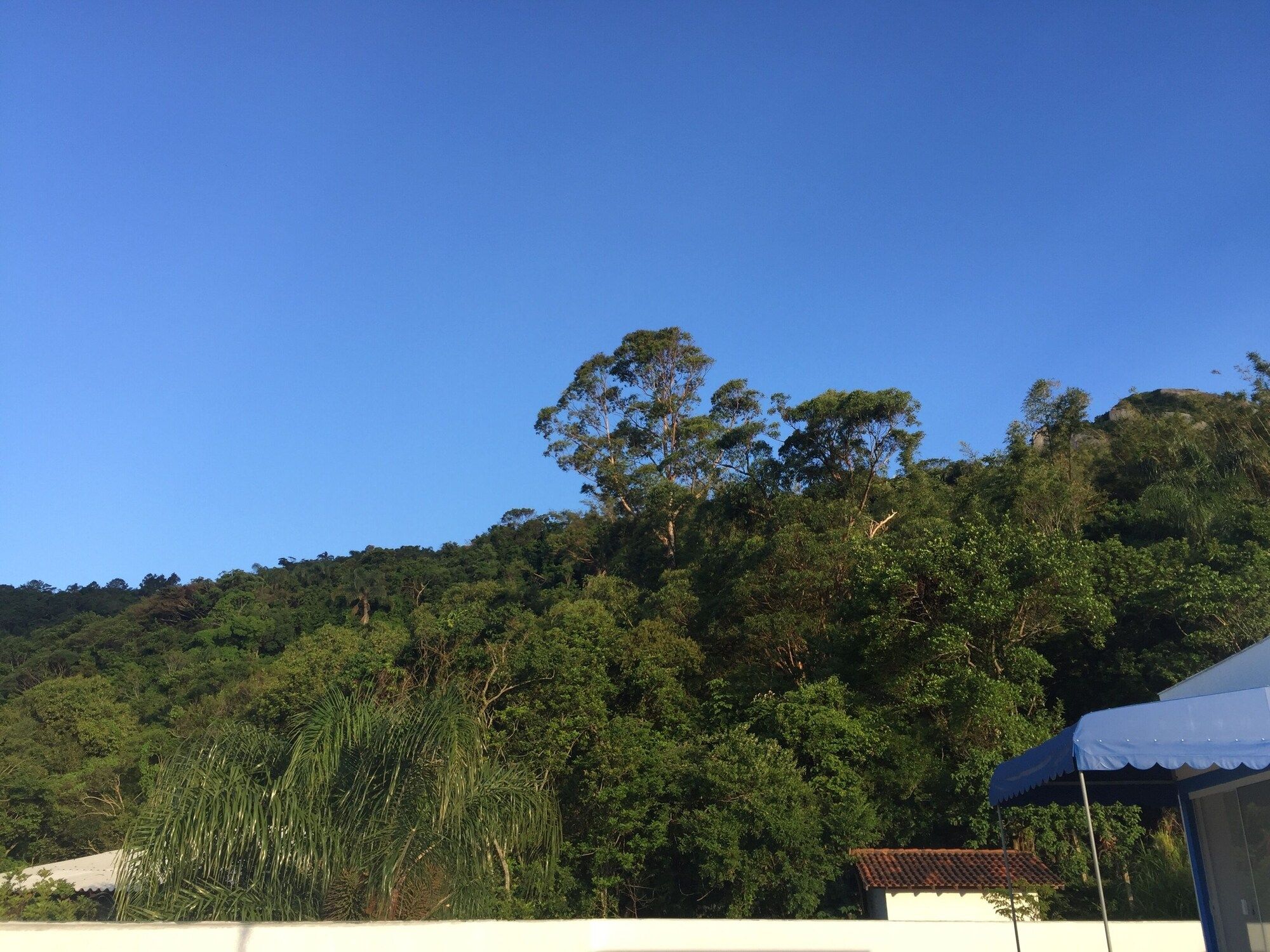 屋外の景色 写真