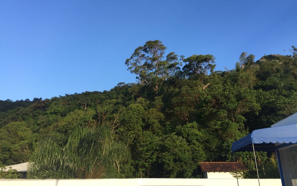 屋外の景色 写真