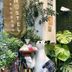 屋外の景色