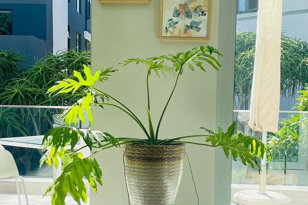 屋外の景色