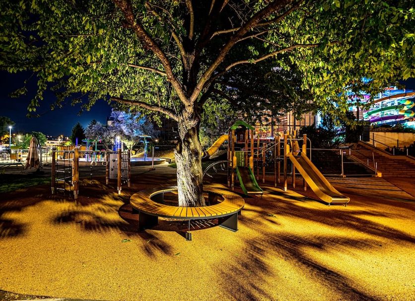 その他 写真