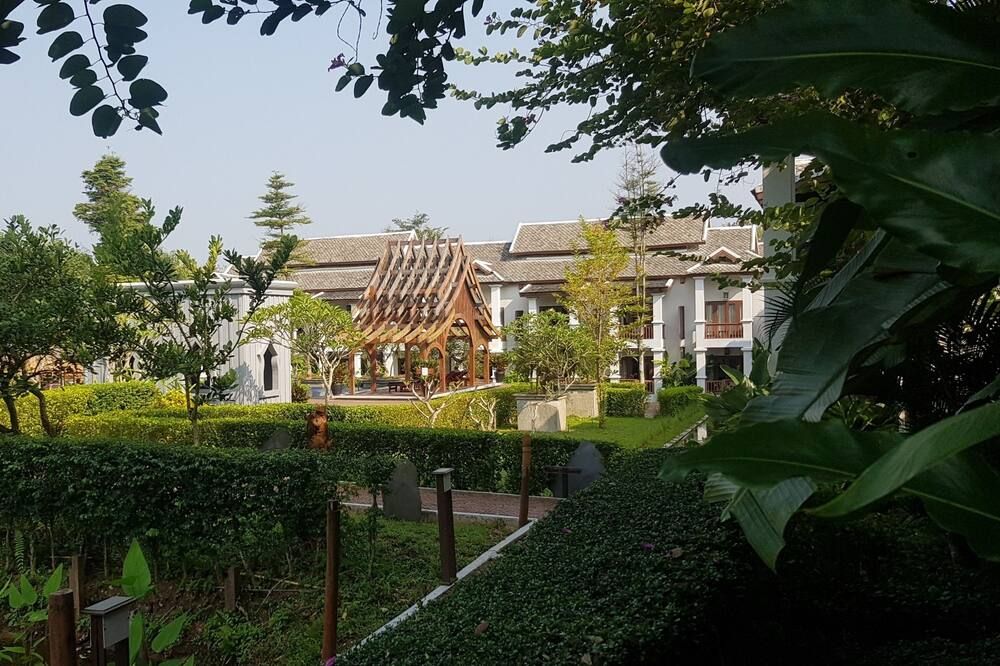 屋外の景色