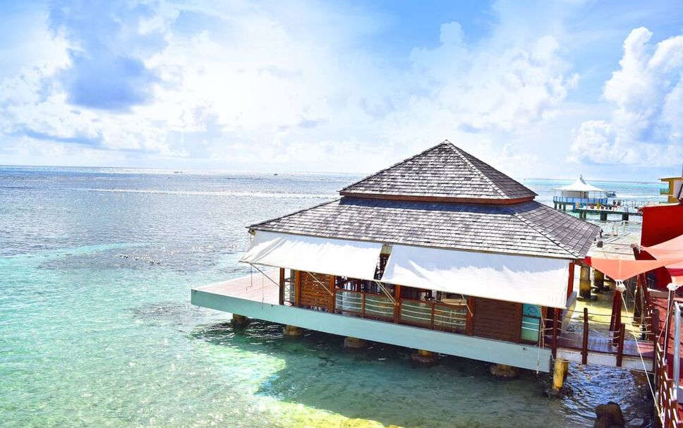 レストラン 写真