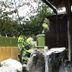 屋外の景色