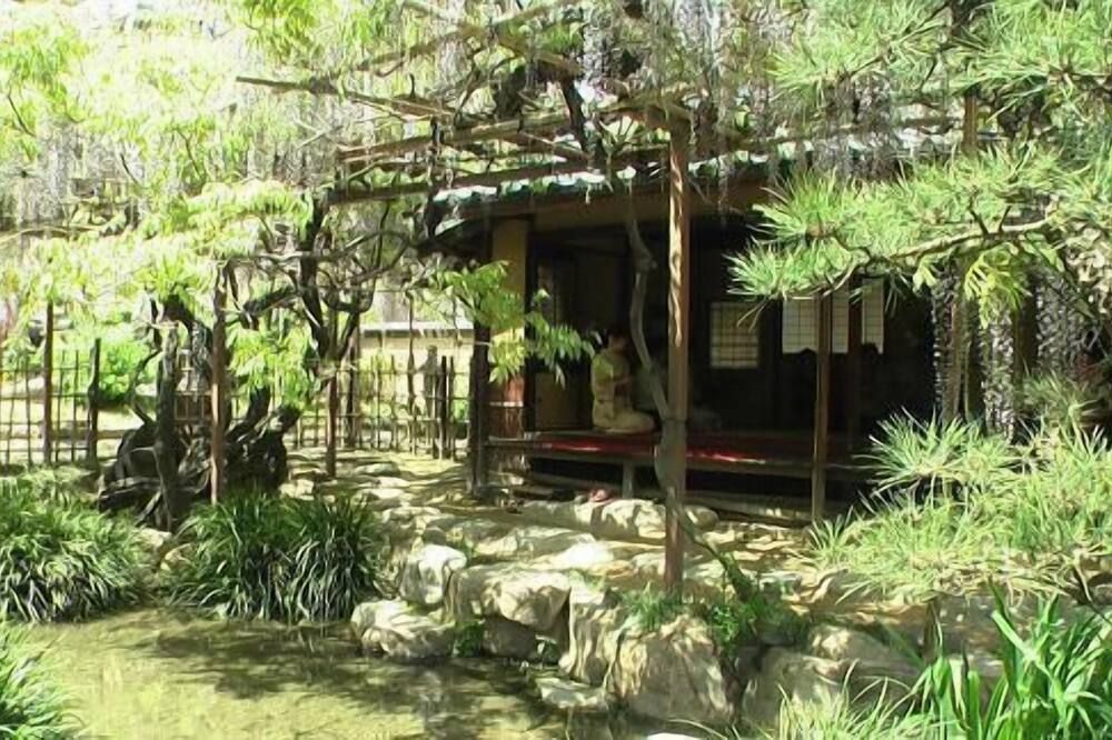 屋外の景色