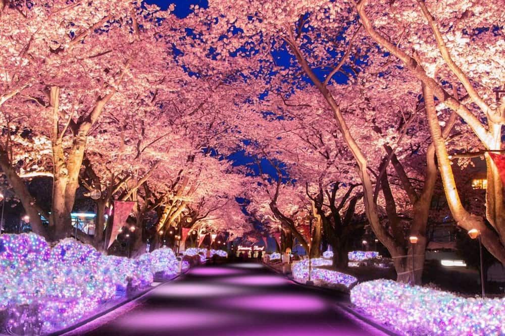 屋外の景色