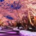 屋外の景色