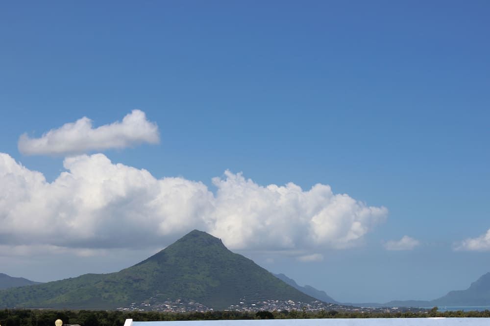 屋外の景色 写真