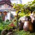 屋外の景色