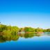 屋外の景色