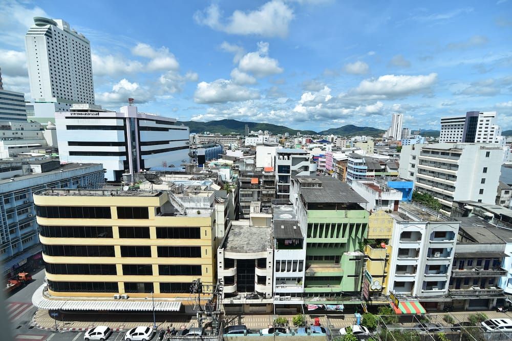 屋外の景色
