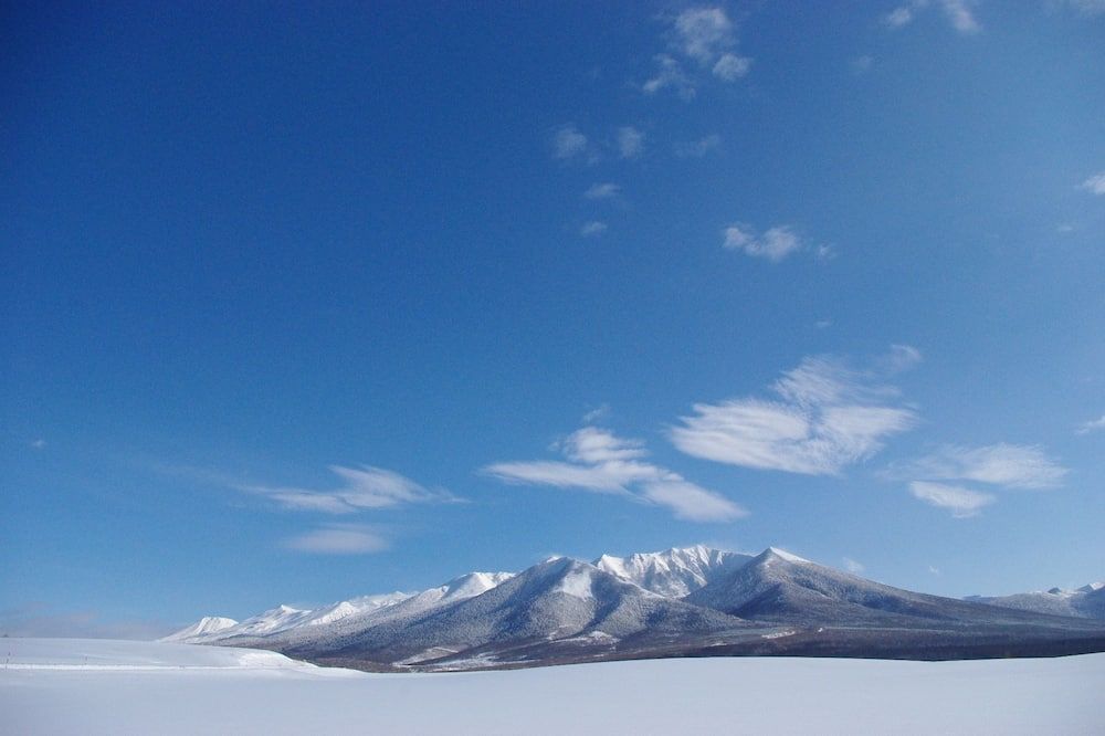 屋外の景色
