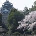屋外の景色