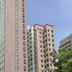 建物