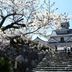 屋外の景色