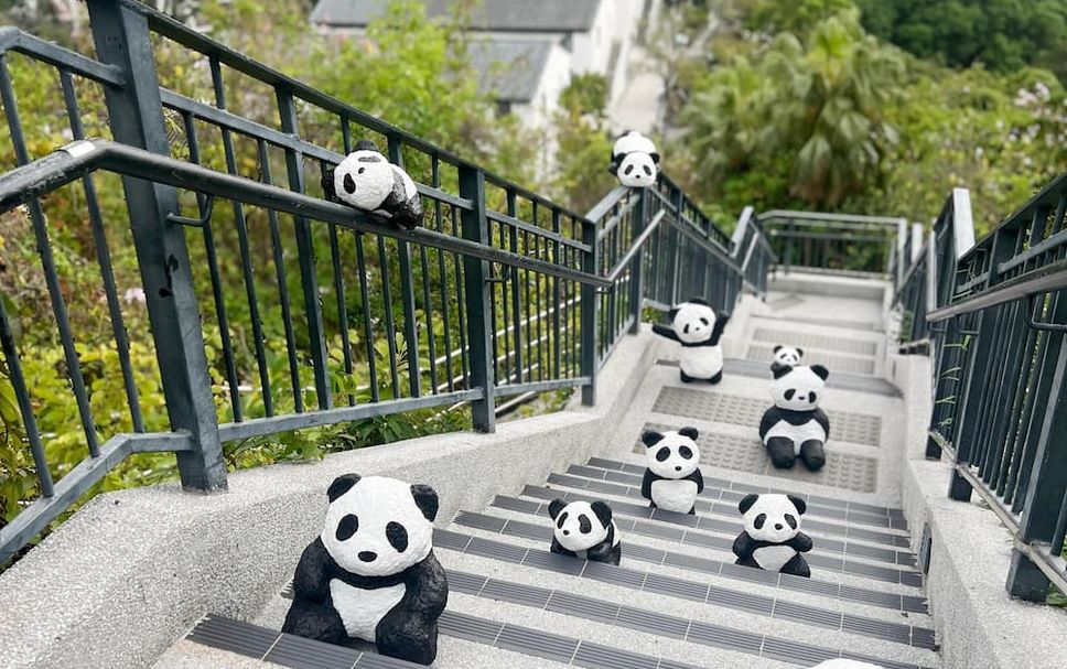 階段 写真