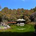 屋外の景色