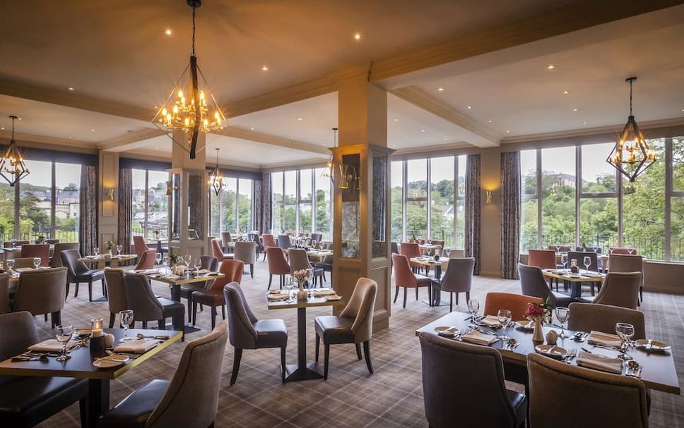 レストラン 写真