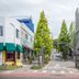 屋外の景色