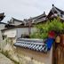 屋外の景色