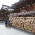 屋外の景色