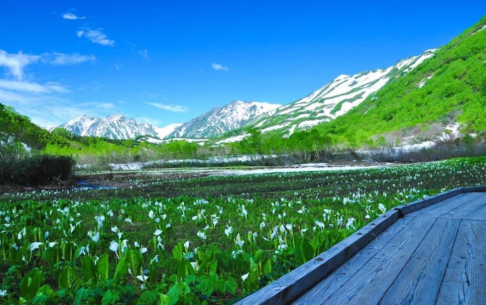 屋外の景色 写真