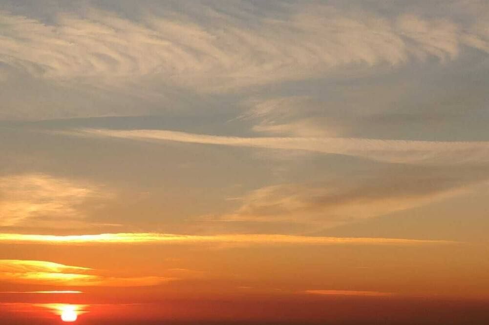 屋外の景色