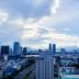 屋外の景色