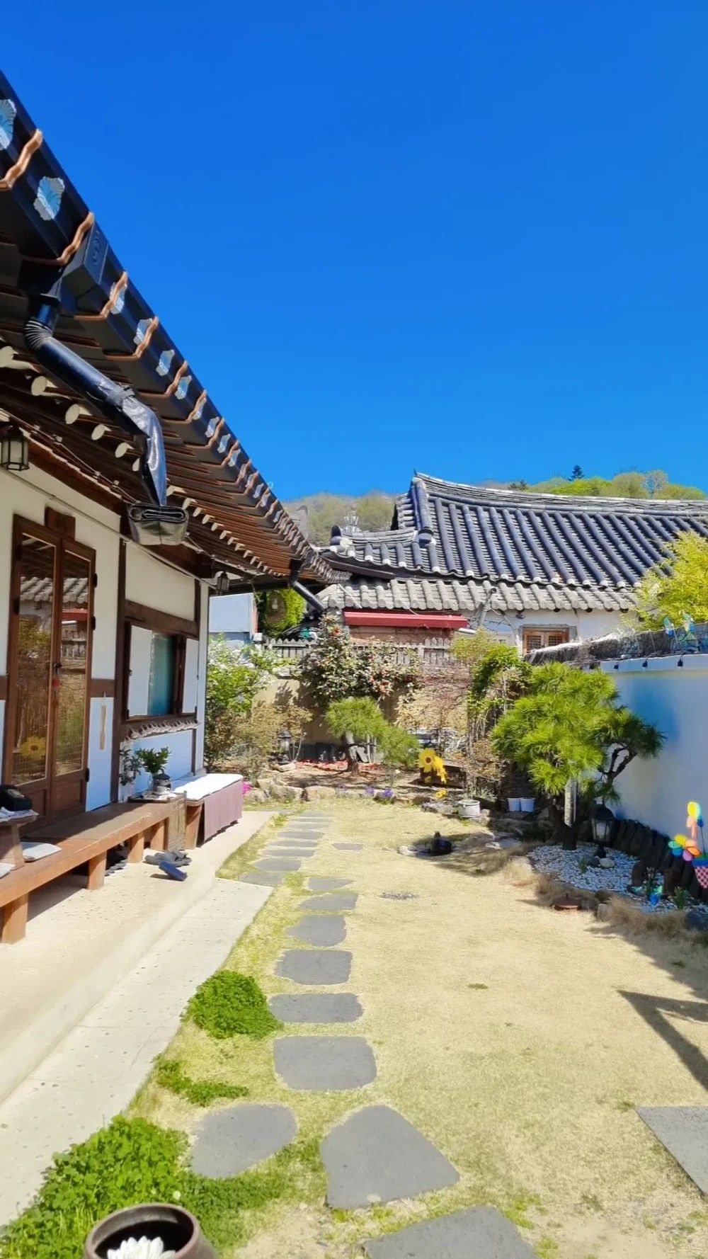 屋外の景色