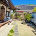 屋外の景色