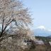 屋外の景色