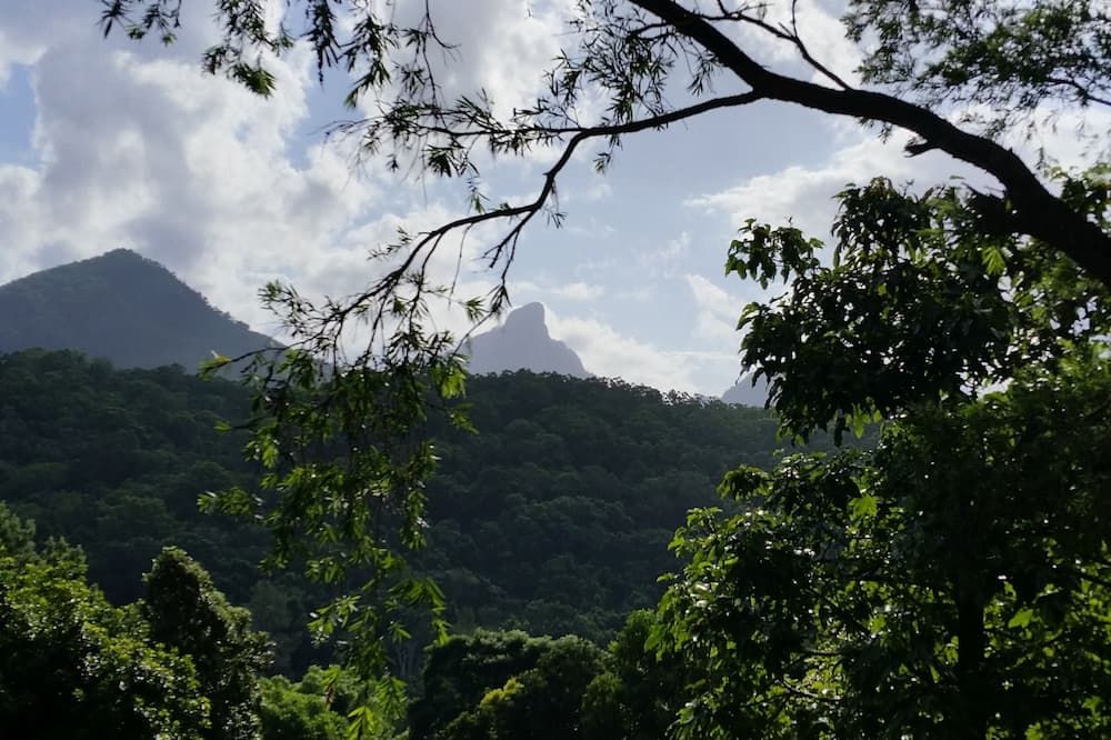 屋外の景色
