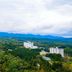 屋外の景色