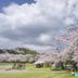 屋外の景色
