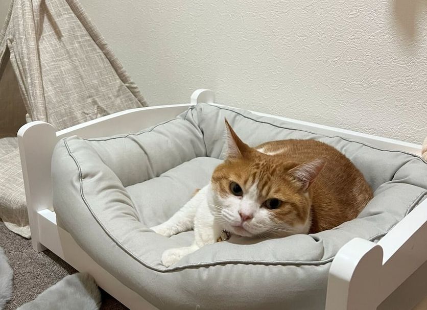 その他 写真