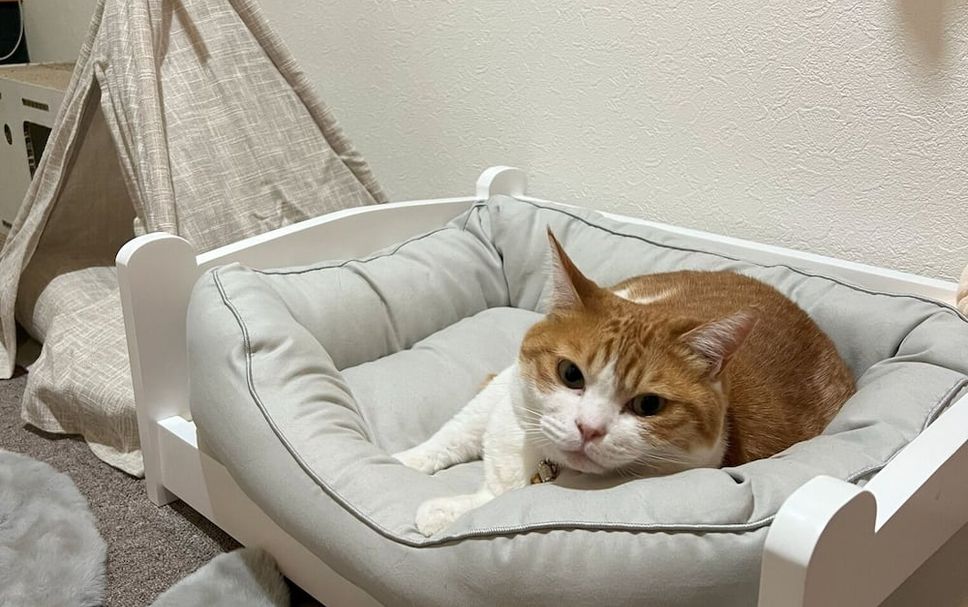 その他 写真