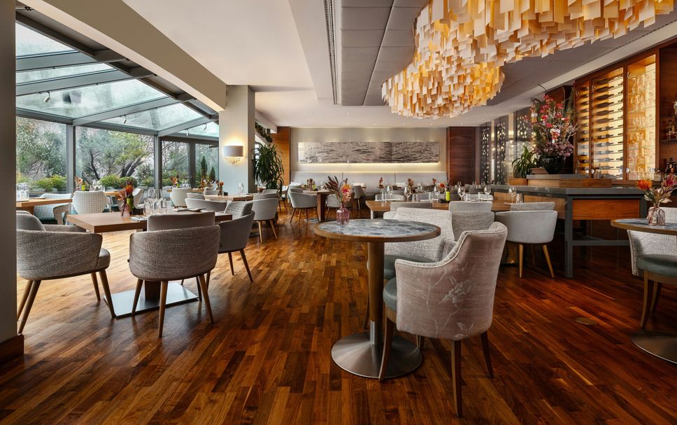 レストラン 写真