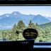 屋外の景色